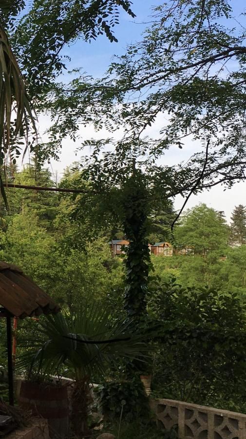 Хостелы Picnic Hostel Кутаиси-5