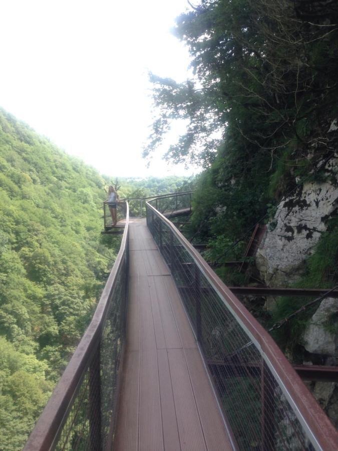 Хостелы Picnic Hostel Кутаиси-39