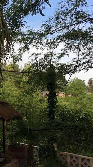 Хостелы Picnic Hostel Кутаиси-1